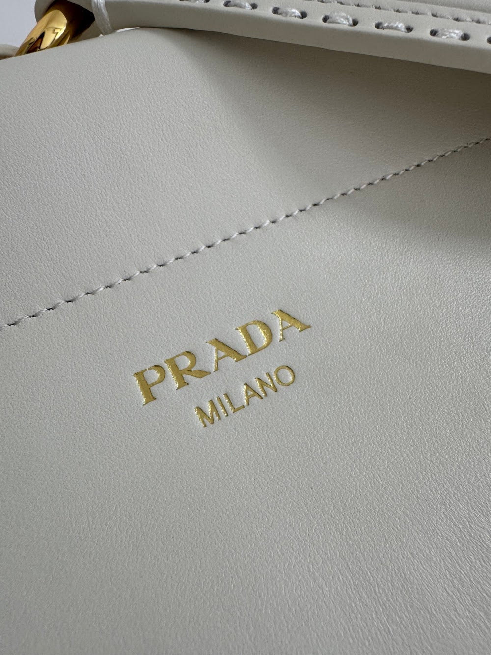 Dragons Bags Pradn Luxury Bag --101475