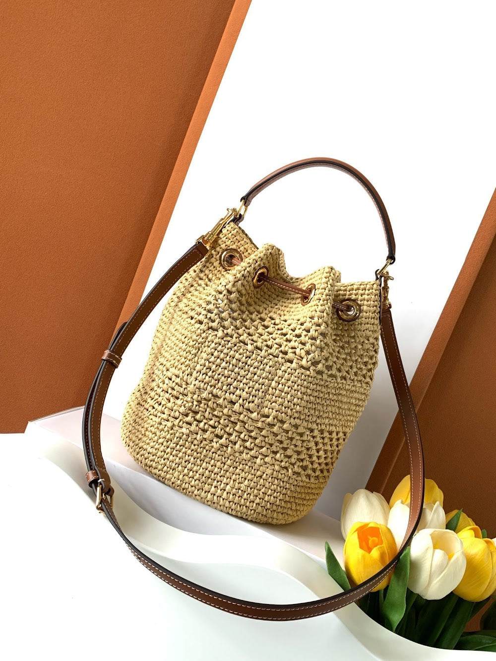 Dragons Bags Celine Luxury Bag --112064