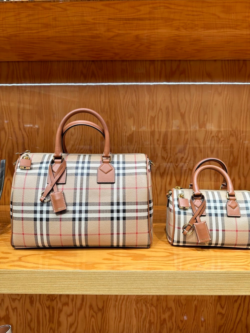 Dragons Bags Burberryn Luxury Bag --92137