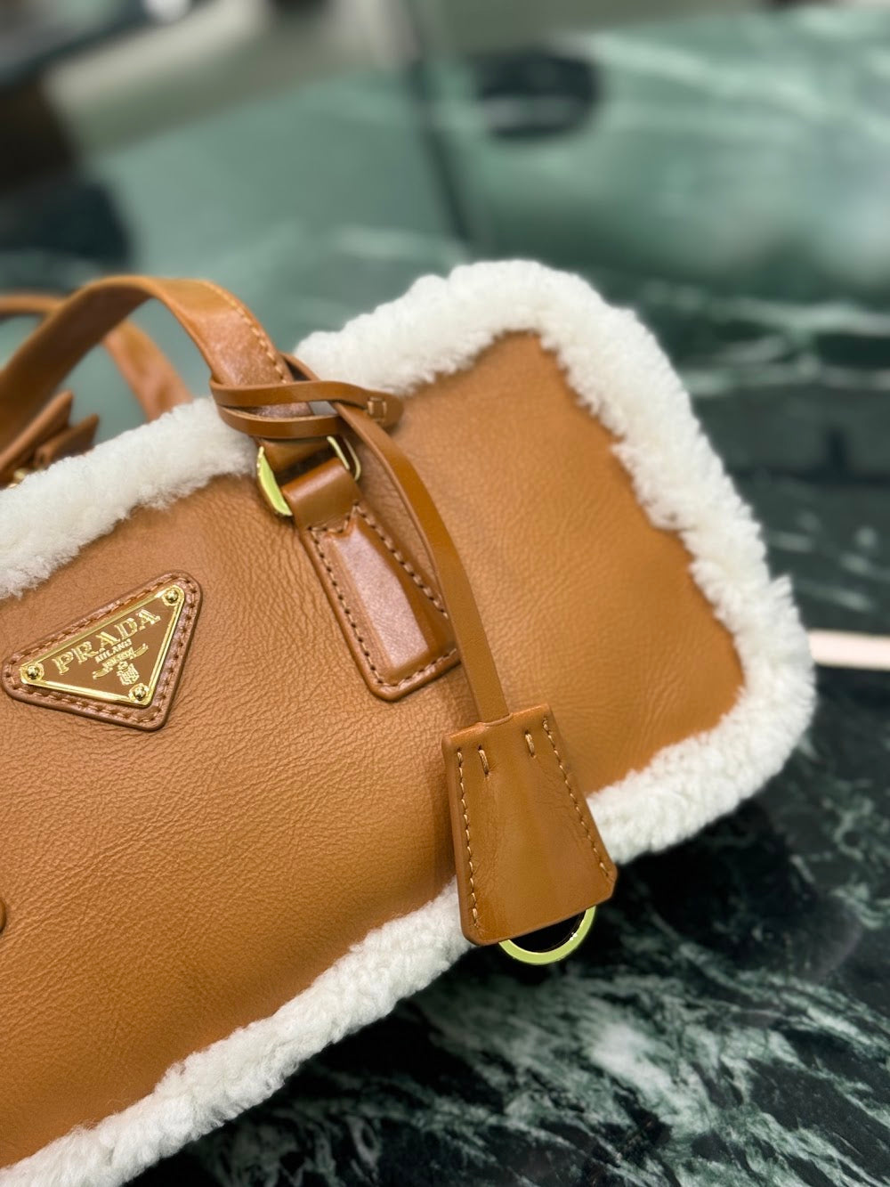 Dragons Bags Pradn Luxury Bag --102736