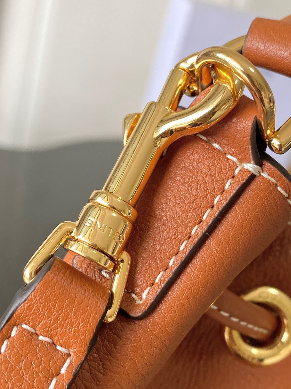 Dragons Bags Celine Luxury Bag --112061