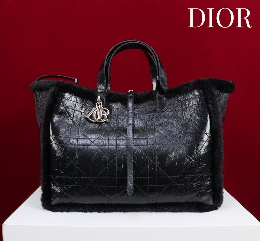 Dragons BagsDiorn Luxury Bag --116118