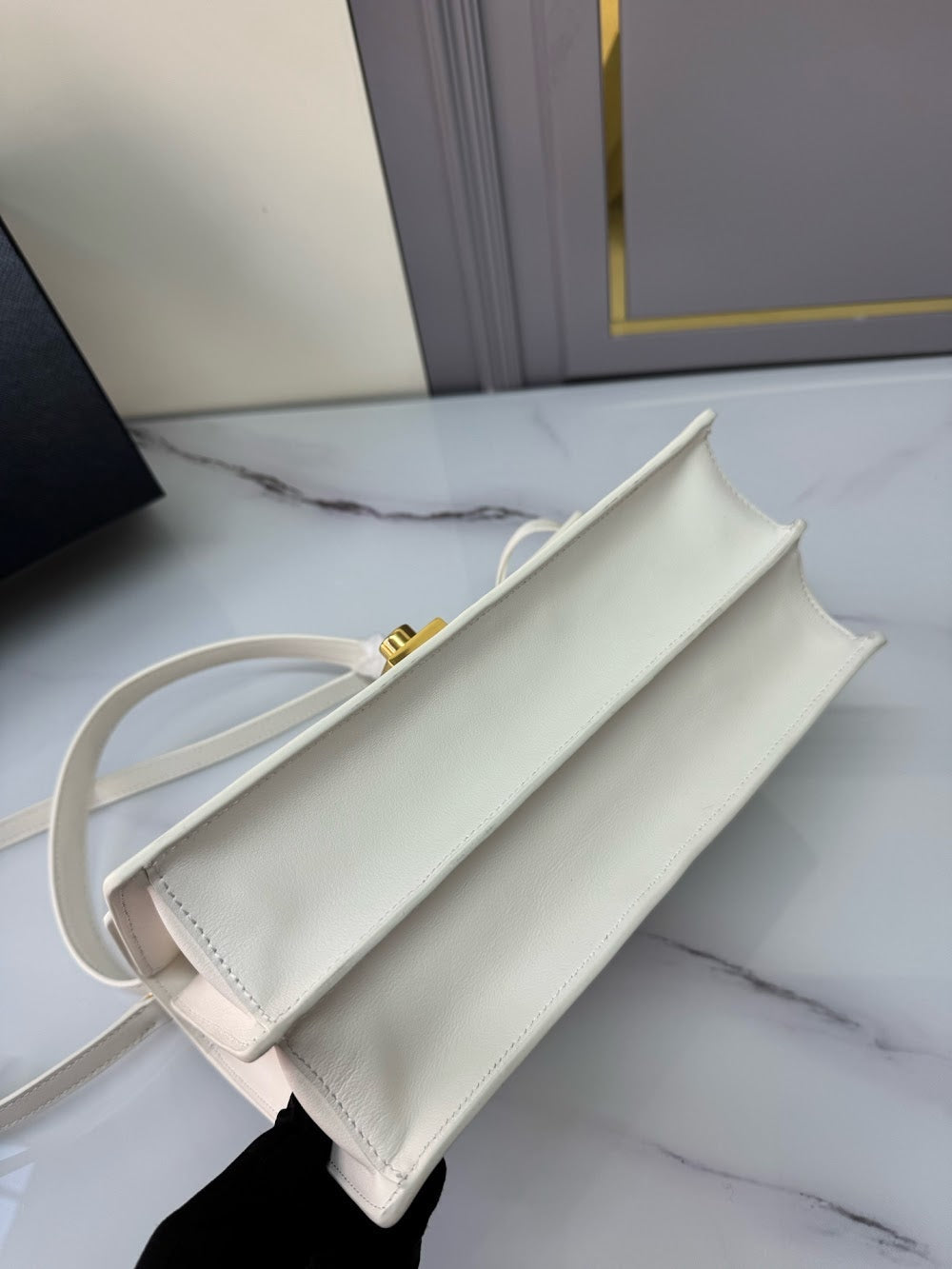 Dragons Bags Pradn Luxury Bag --102542