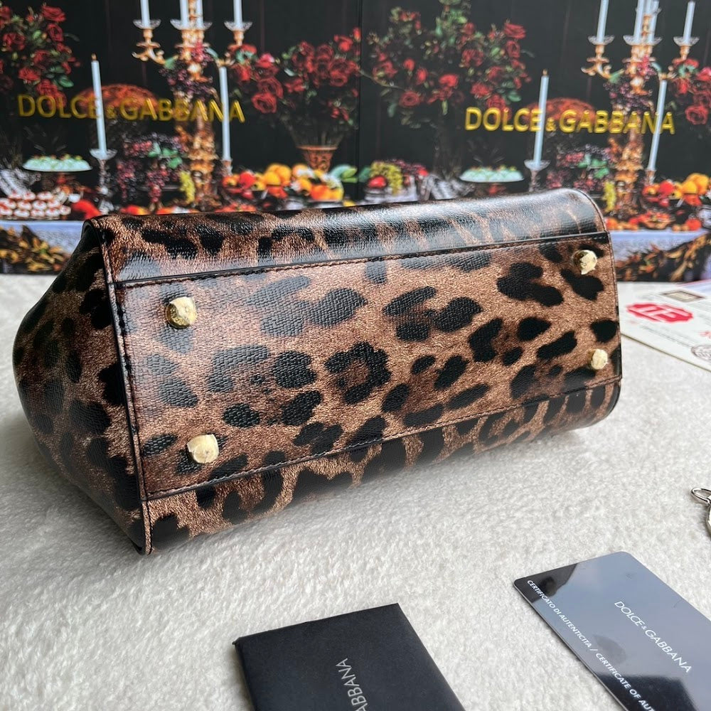 Dragons Bags DGn Luxury Bag --94108