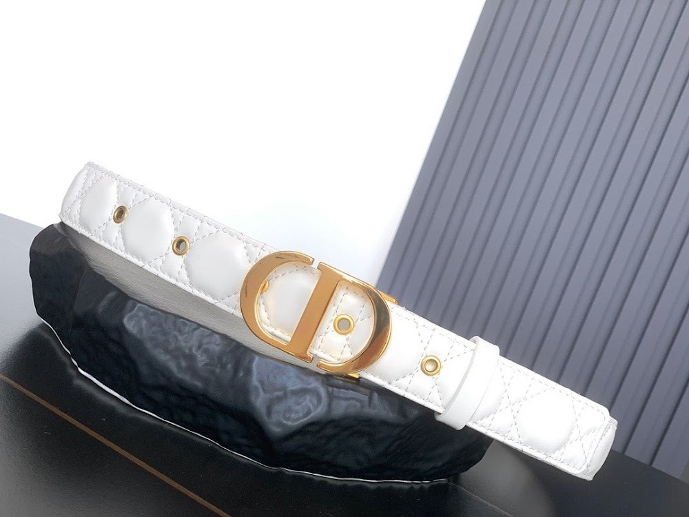 Dragons Bags Diorn Luxury Belt --107845