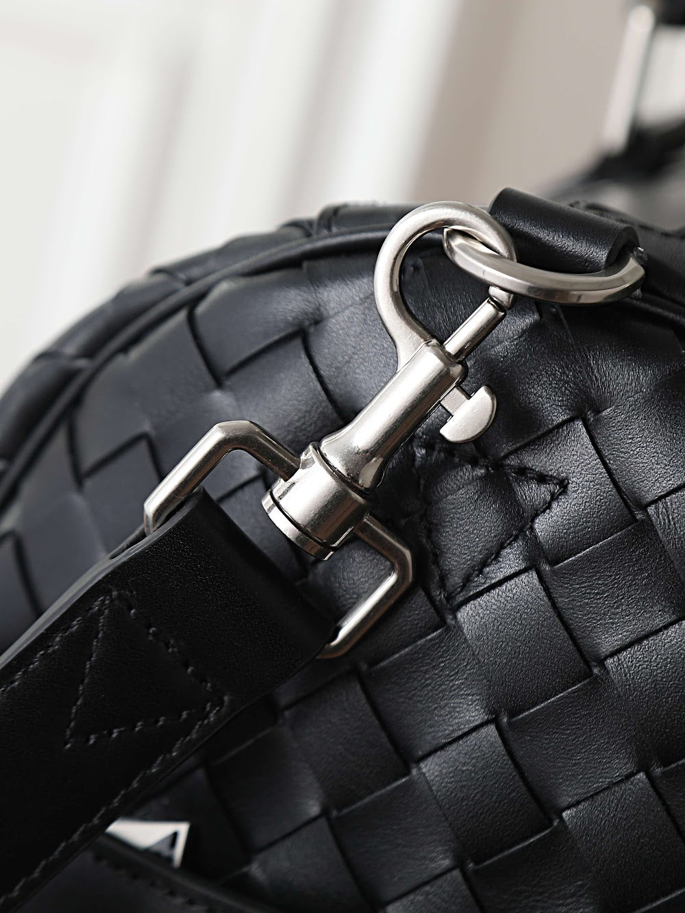 Dragons Bags Bottegan Luxury Bag --91408