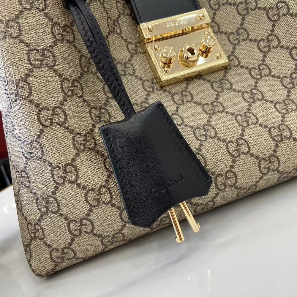 Dragons Bags Guccin Luxury Bag --94438