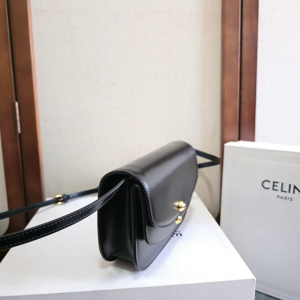 Dragons Bags Celine Luxury Bag --112636