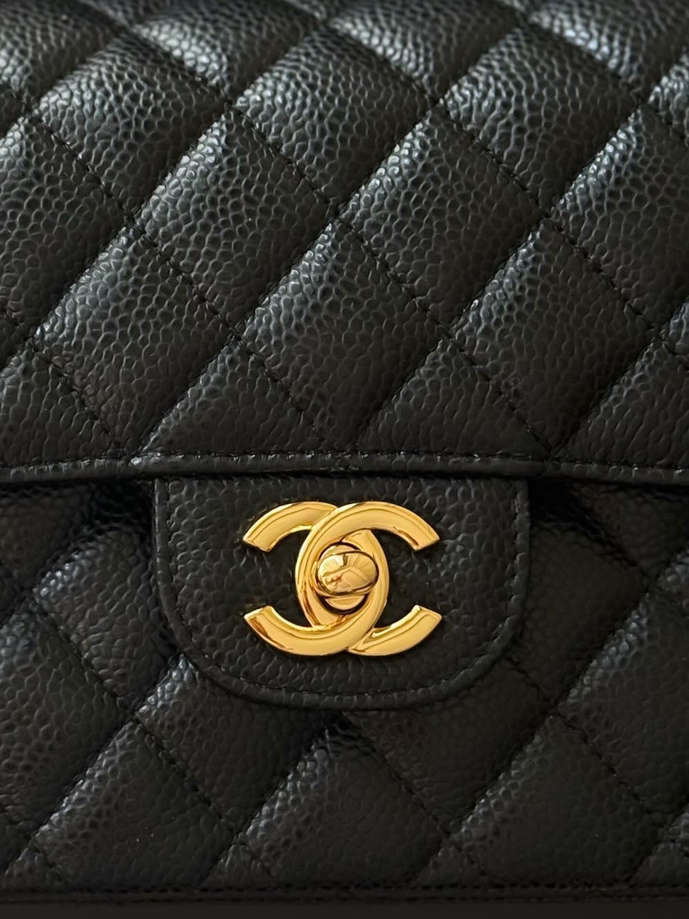Dragons BagsCHn Luxury Bag --113969