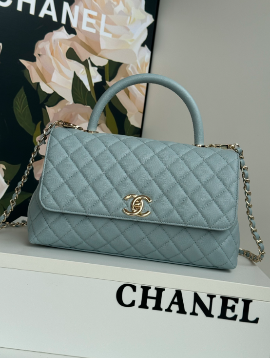 new-luxury-designer-bags-nm10232