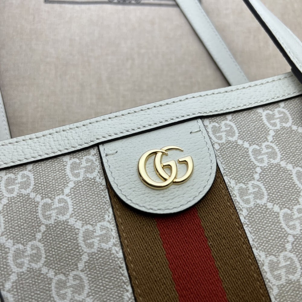 Dragons Bags Guccin Luxury Bag --95504