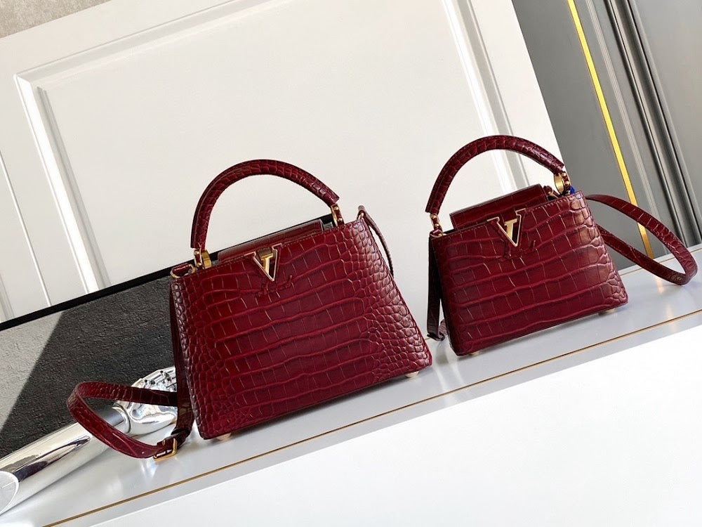 Dragons Bags ln Luxury Bag --96818