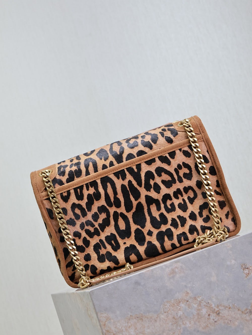 Dragons Bags YSLn Luxury Bag --119649