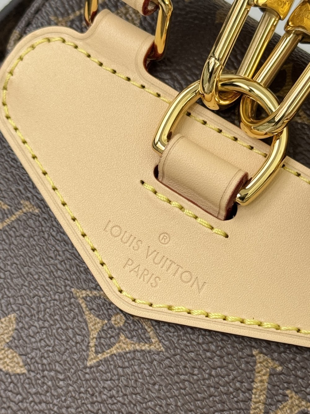 Dragons Bags ln Luxury Bag --97346