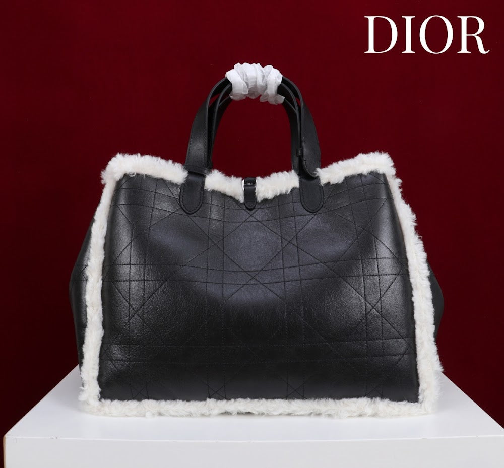 Dragons BagsDiorn Luxury Bag --114890