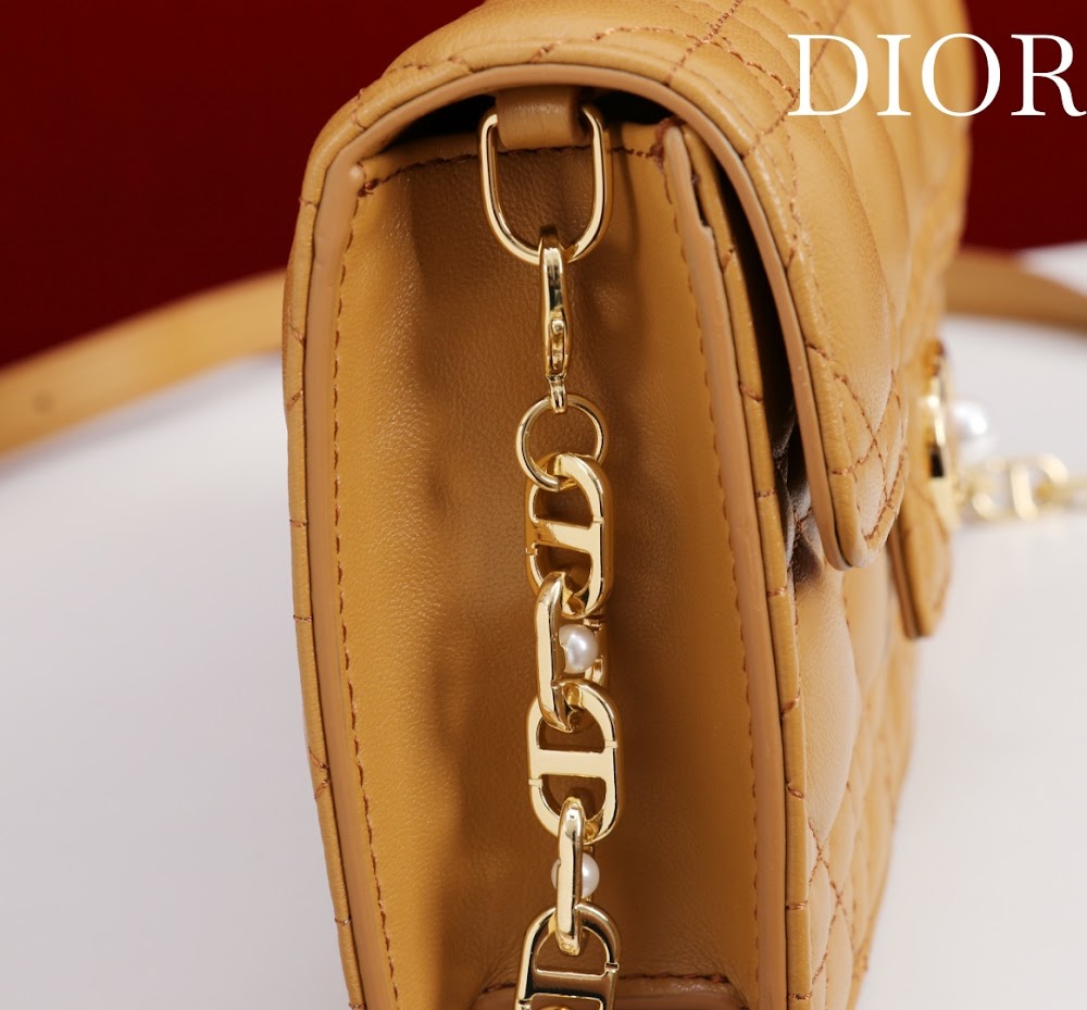 Dragons BagsDiorn Luxury Bag --116374