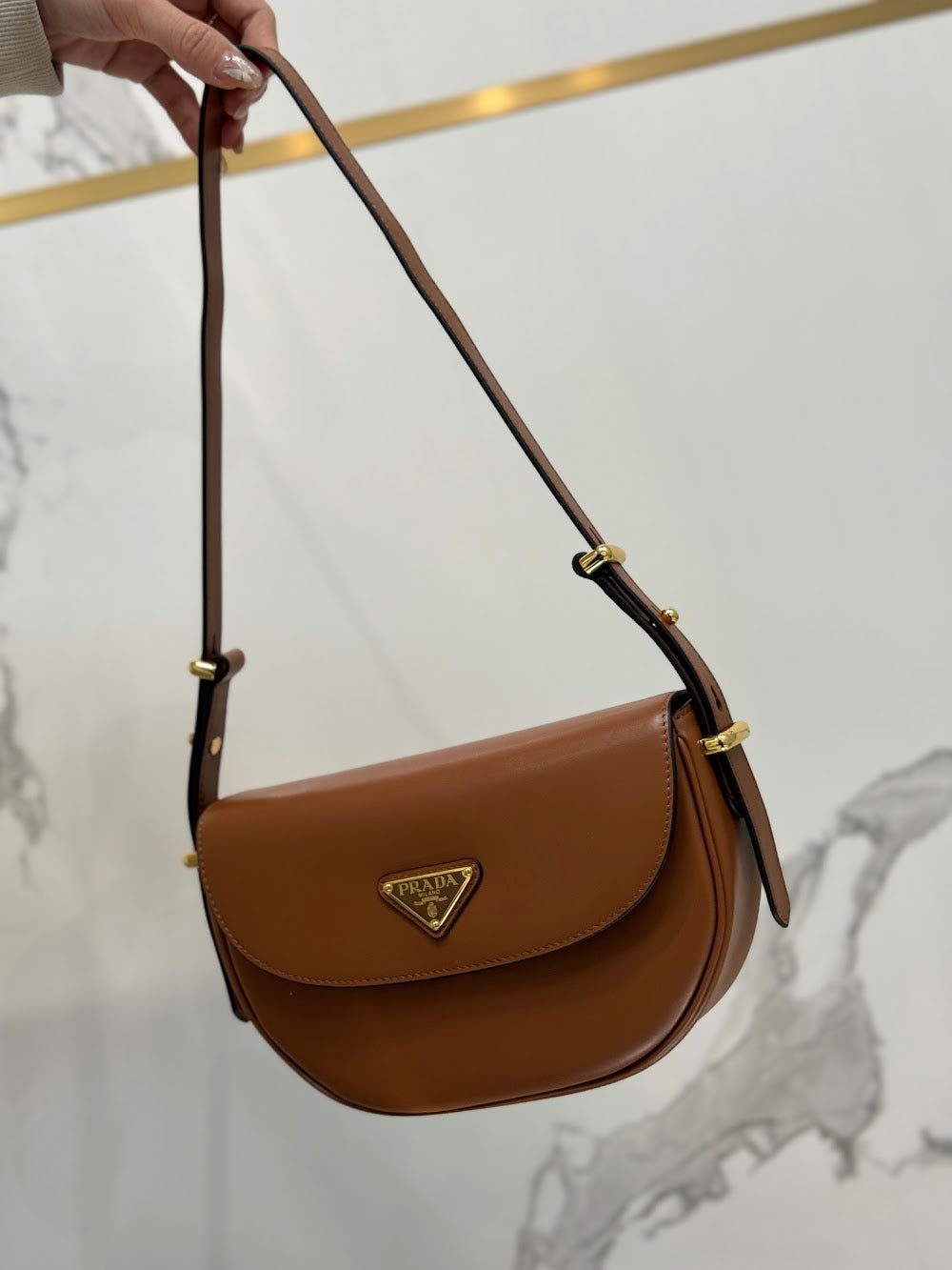 Dragons Bags Pradn Luxury Bag --102088