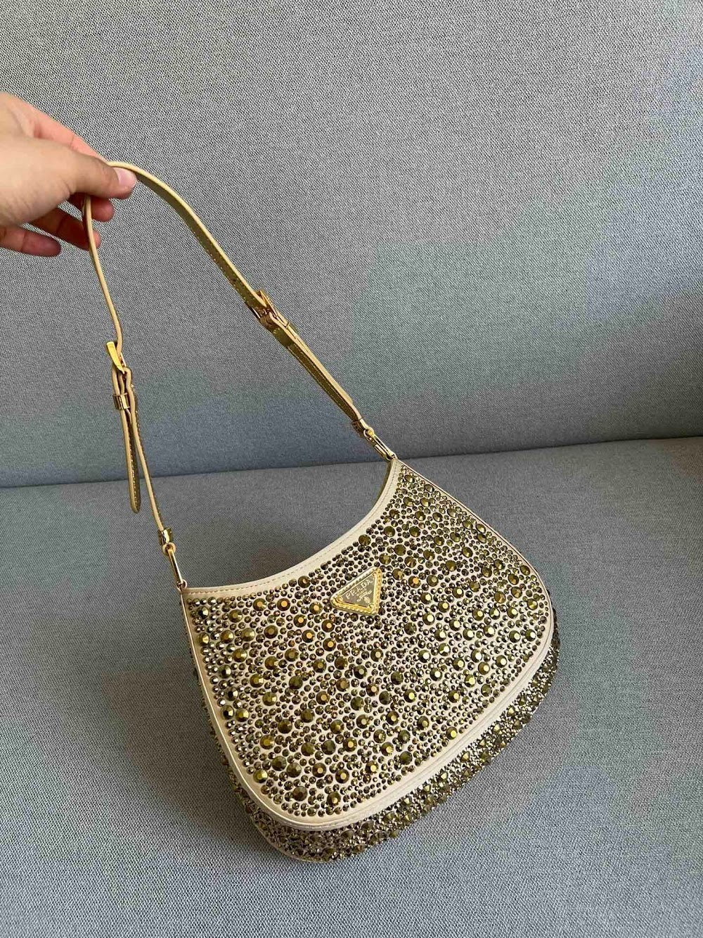 Dragons Bags Pradn Luxury Bag --102534