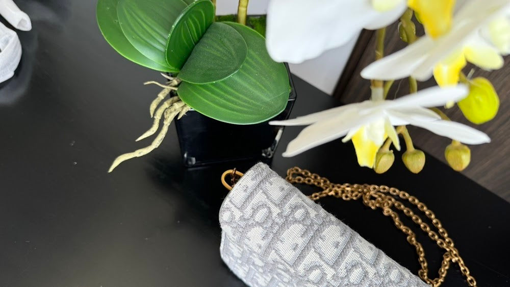 Dragons BagsDiorn Luxury Bag --115034