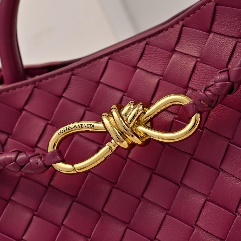 Dragons Bags Bottegan Luxury Bag --90128