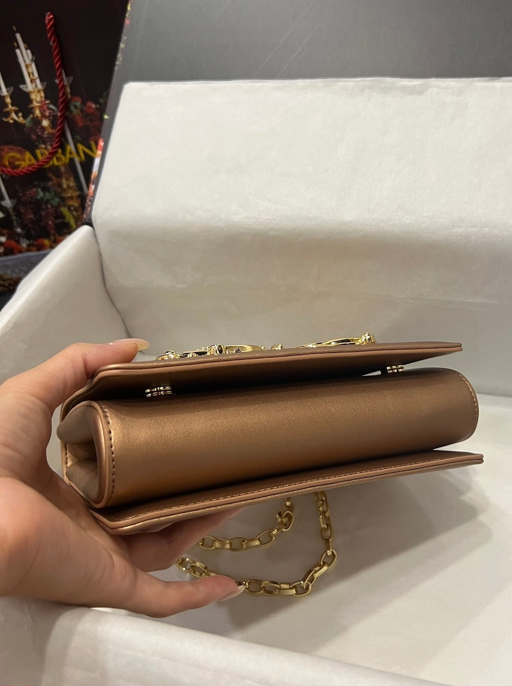 Dragons Bags DGn Luxury Bag --93881