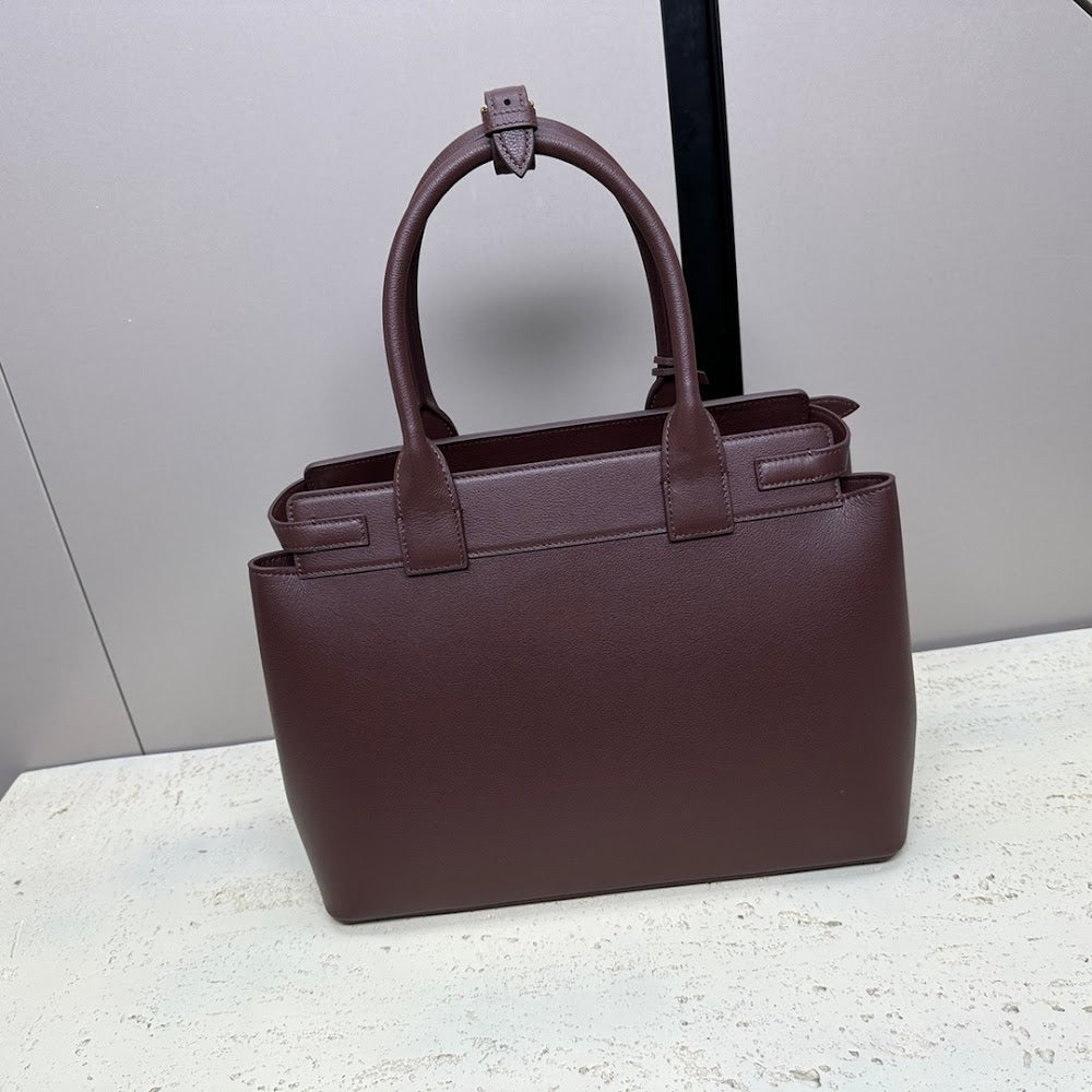 Dragons Bags Celine Luxury Bag --112493