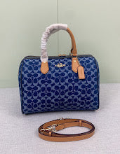 new-designer-premium-bags-nm6505