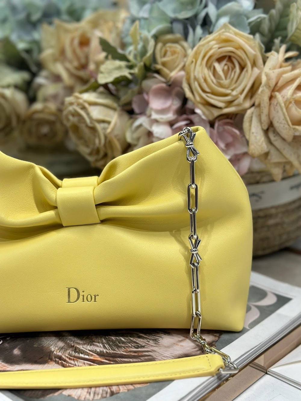 Dragons BagsDiorn Luxury Bag --115299