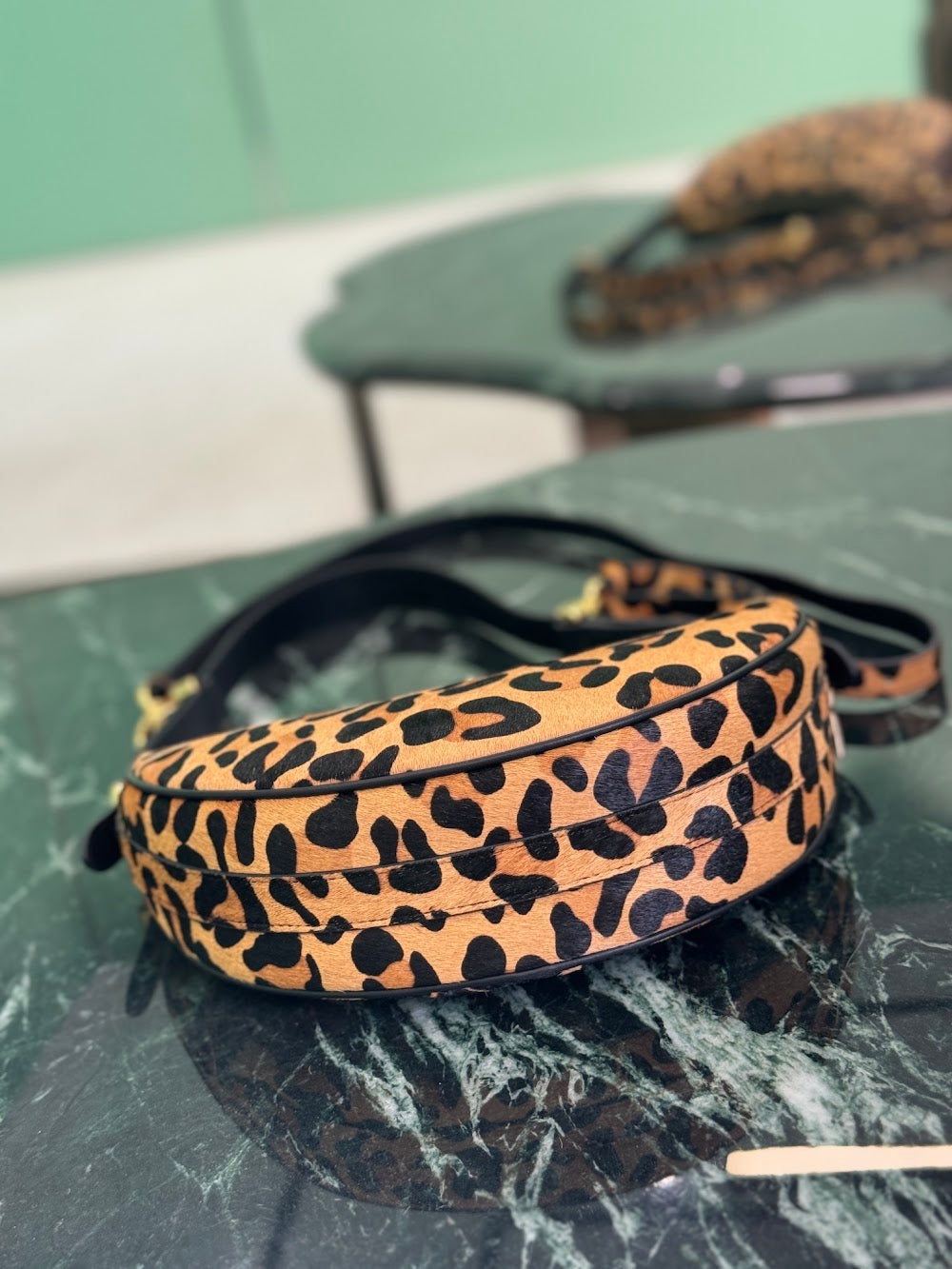 Dragons Bags Pradn Luxury Bag --102681
