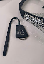 new-designer-premium-bags-nm2013