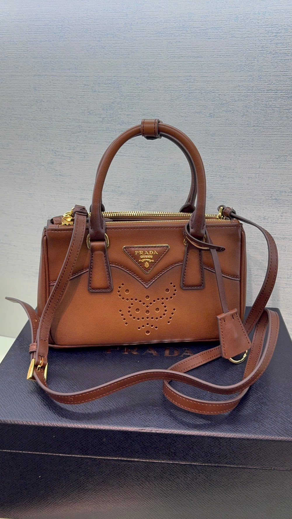 Dragons Bags Pradn Luxury Bag --102958
