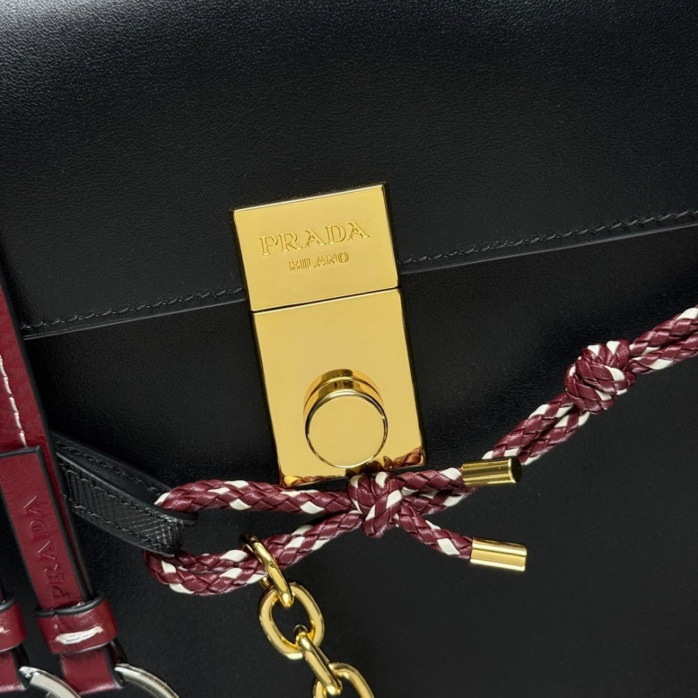 Dragons Bags Pradn Luxury Bag --101881