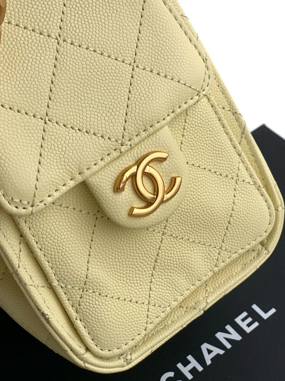 Dragons Bags CHn Luxury Bag --112895