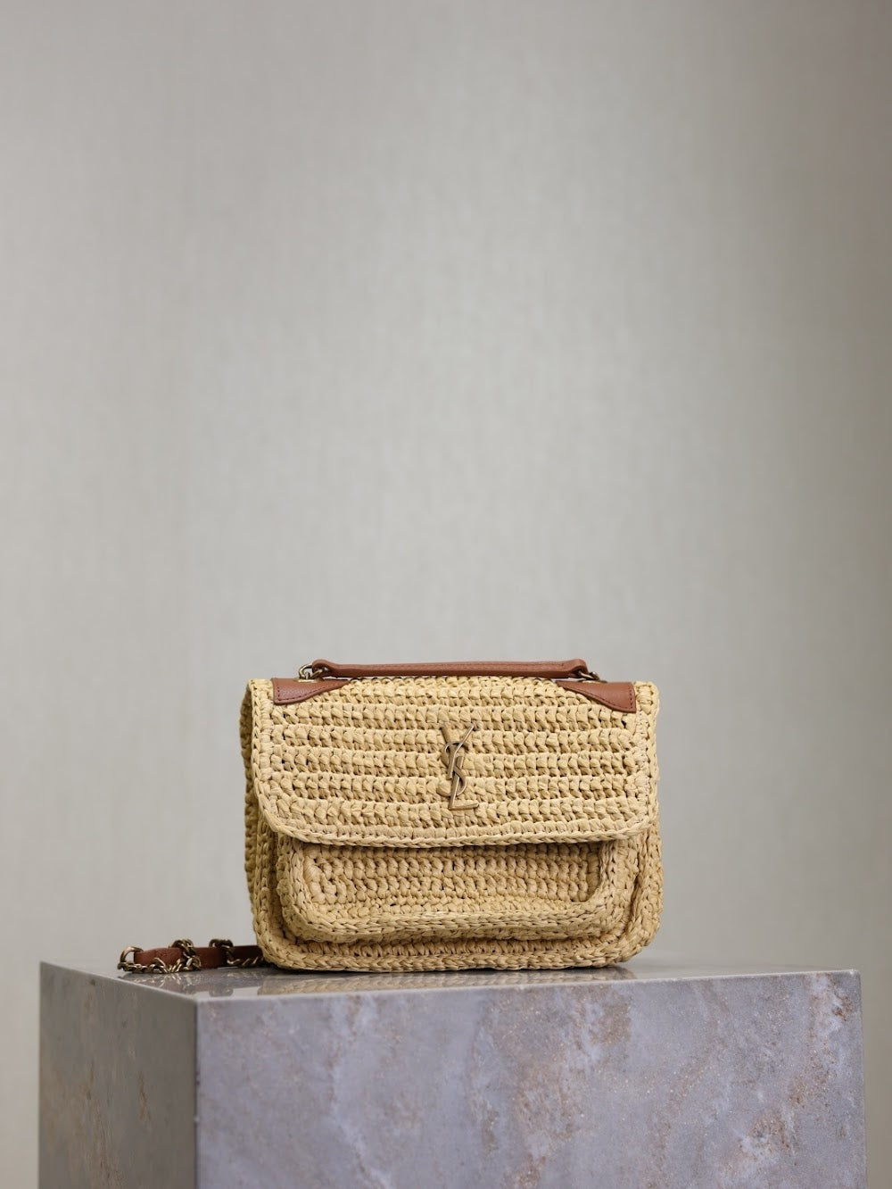 Dragons Bags YSLn Luxury Bag --119184