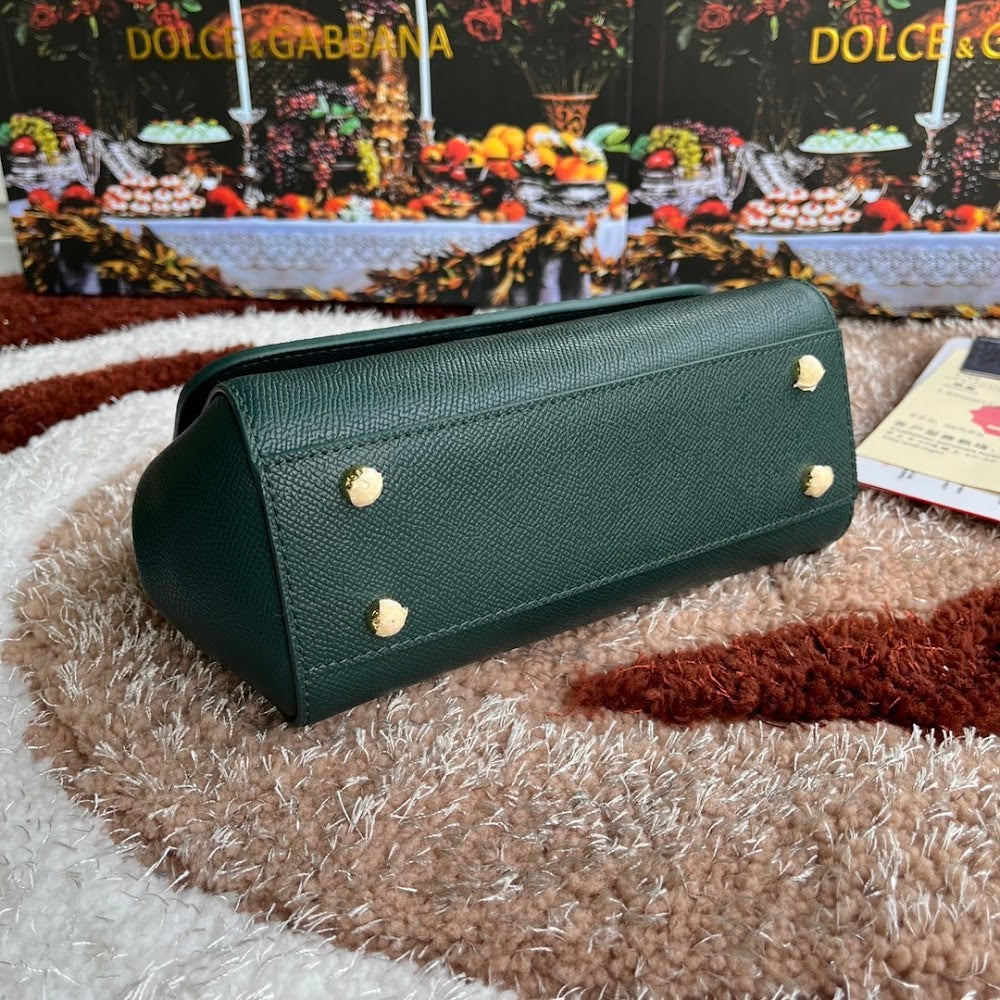 Dragons Bags DGn Luxury Bag --94023