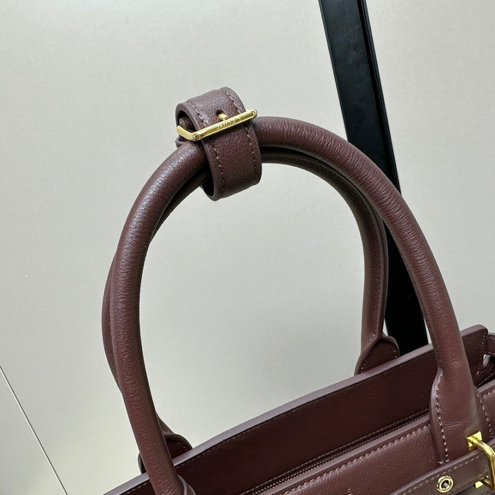 Dragons Bags Celine Luxury Bag --112493