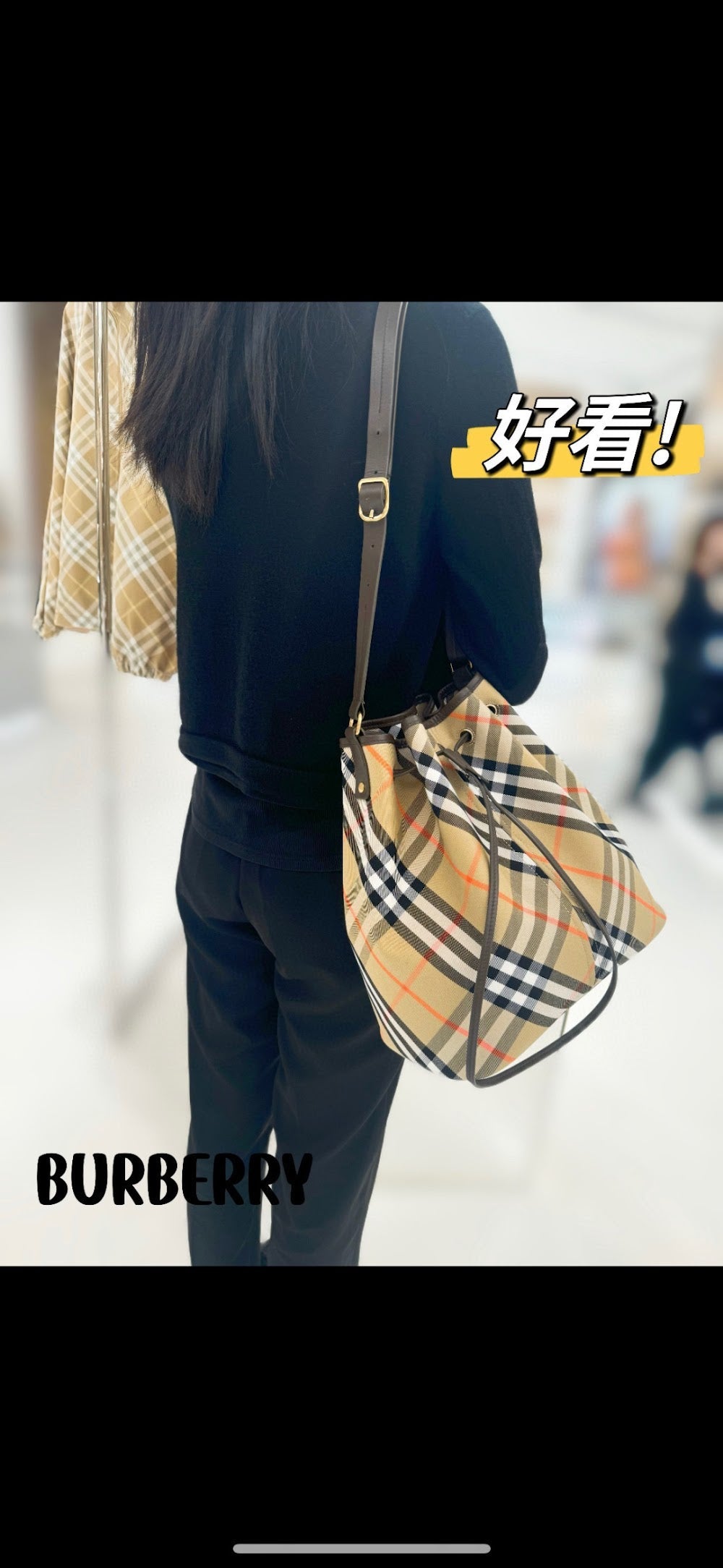 Dragons Bags Burberryn Luxury Bag --92186