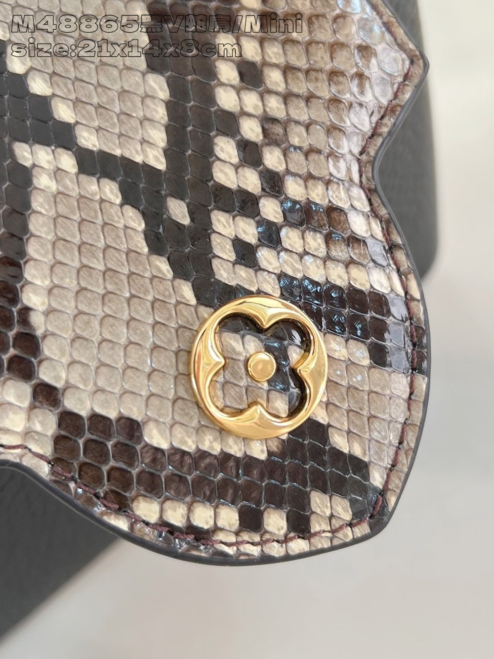 Dragons Bags ln Luxury Bag --95677