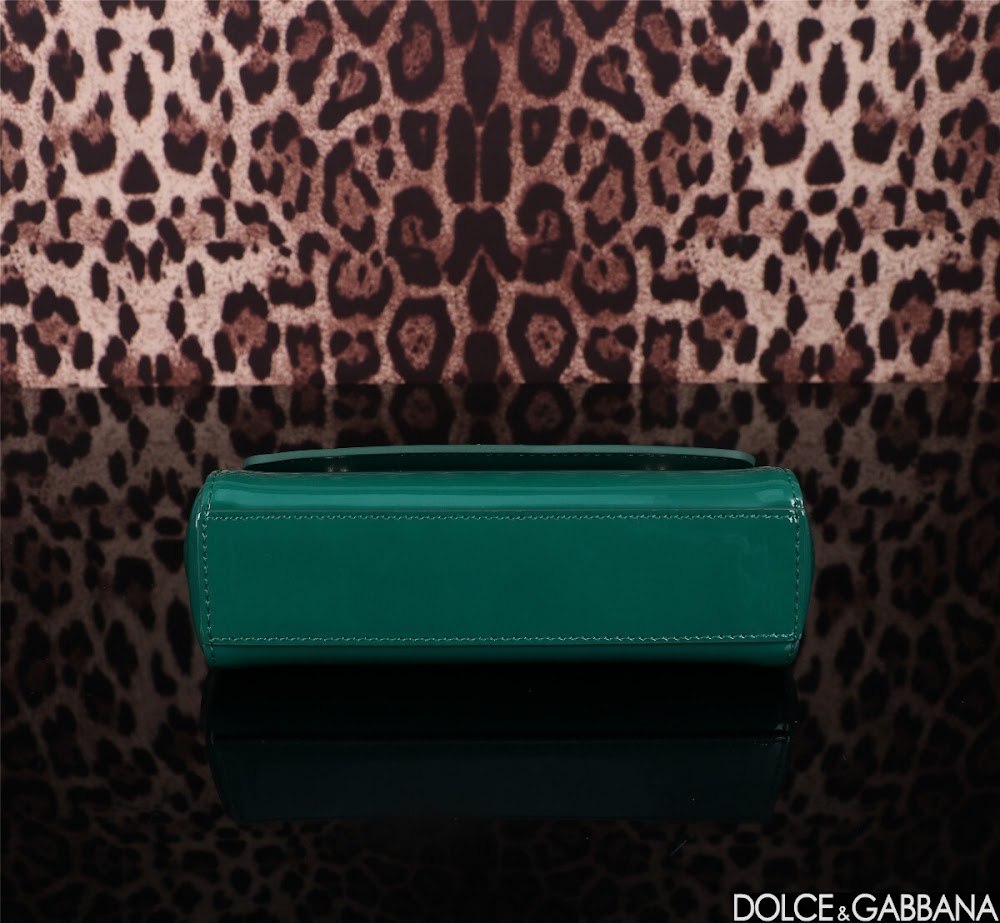 Dragons Bags DGn Luxury Bag --93634