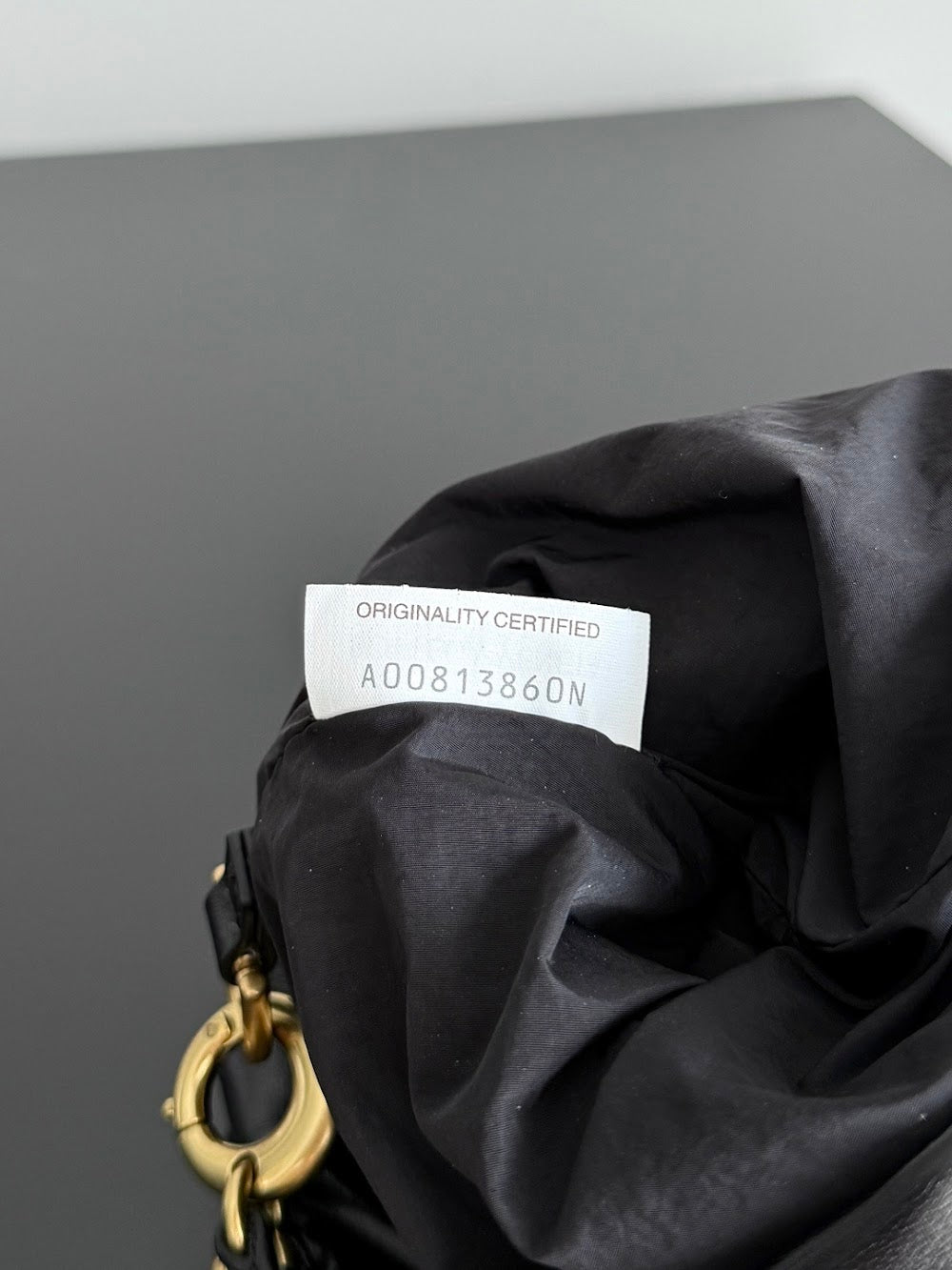 Dragons Bags Bottegan Luxury Bag --91554