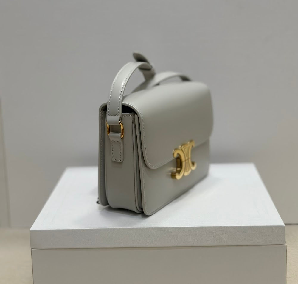 Dragons Bags Celine Luxury Bag --111998