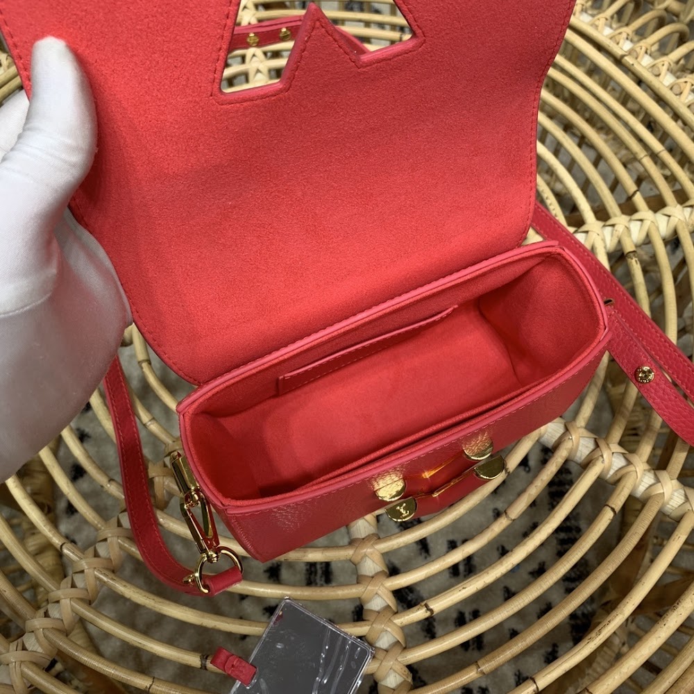 Dragons Bags ln Luxury Bag --60074