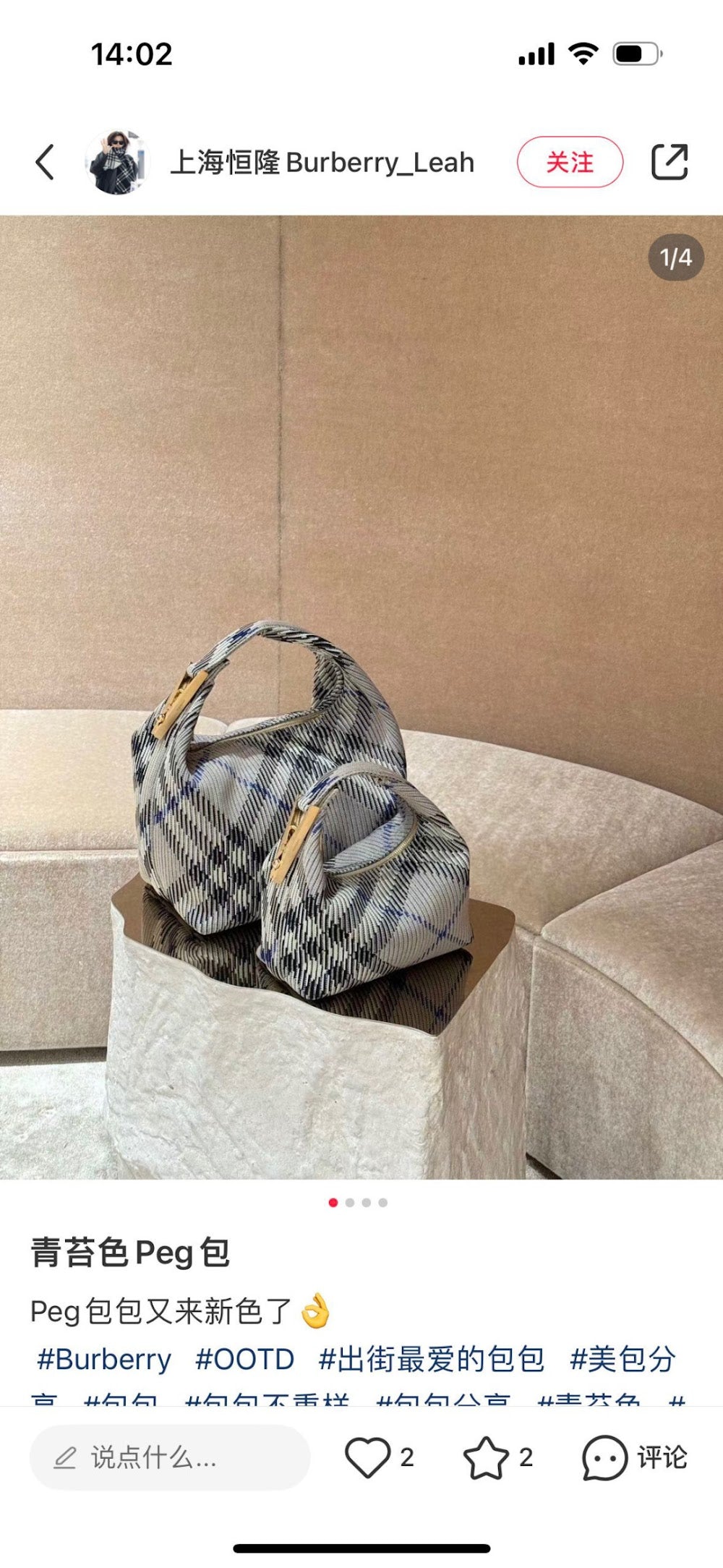 Dragons Bags Burberryn Luxury Bag --91573