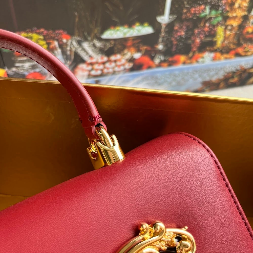 Dragons Bags DGn Luxury Bag --94050