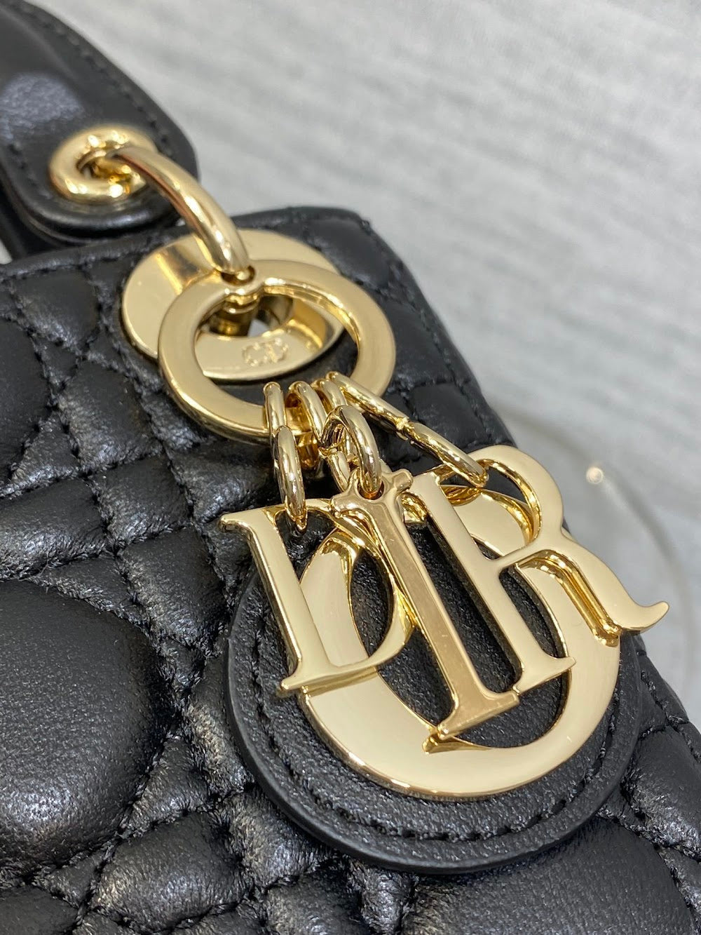 Dragons BagsDiorn Luxury Bag --114978