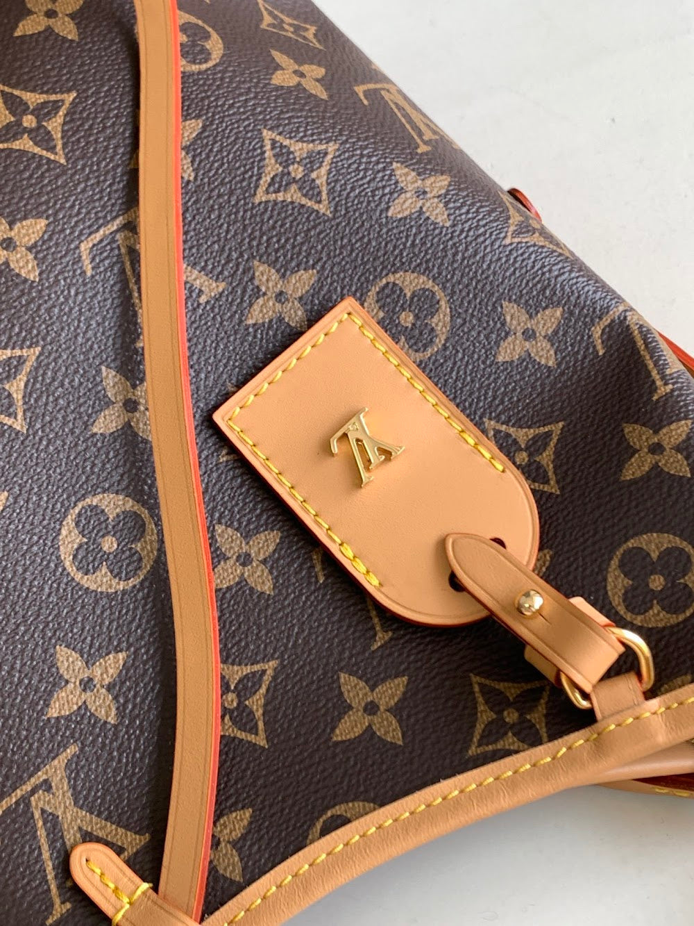 Dragons Bags LVn Luxury Bag --80442