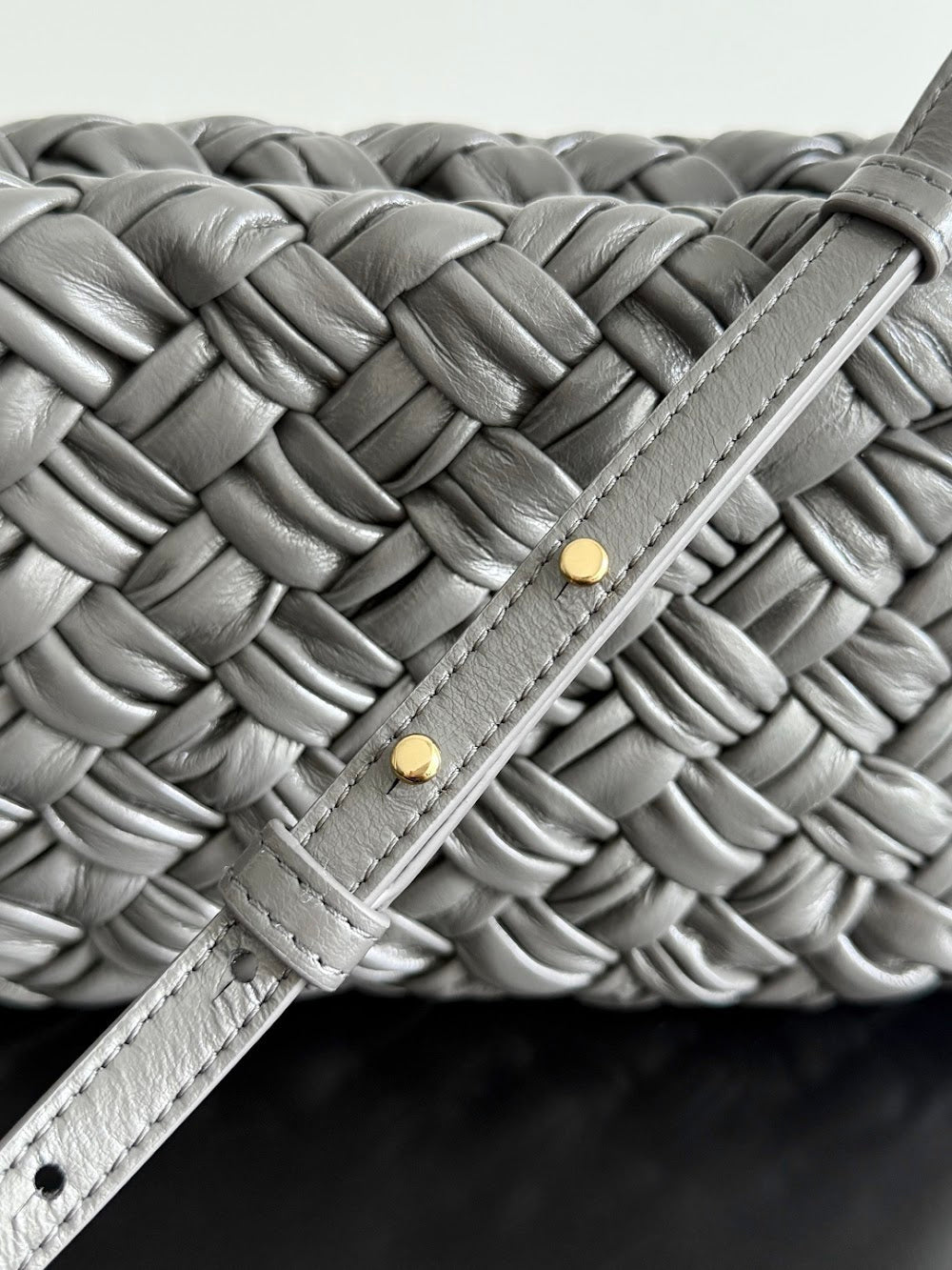 Dragons Bags Bottegan Luxury Bag --91282