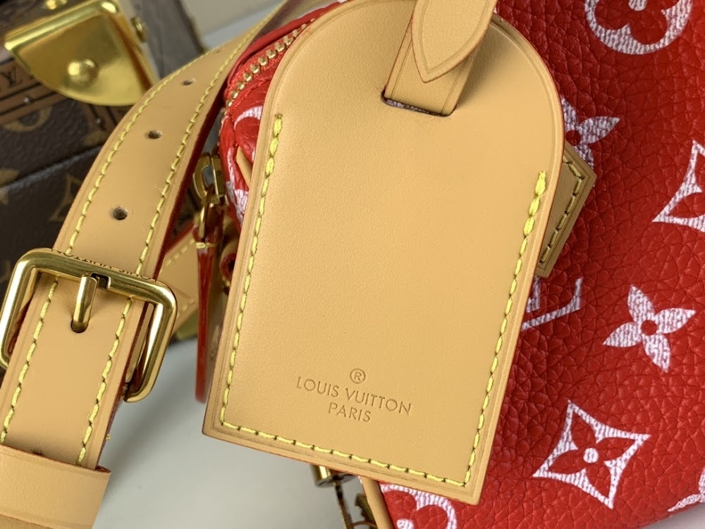 Dragons Bags ln Luxury Bag --62555