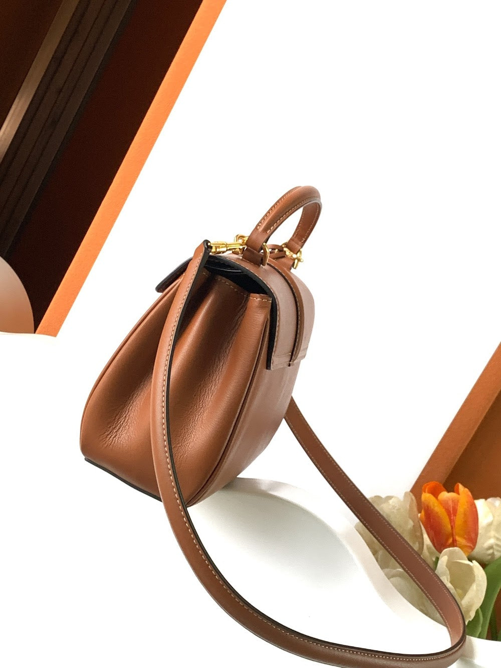 Dragons Bags Celine Luxury Bag --112176