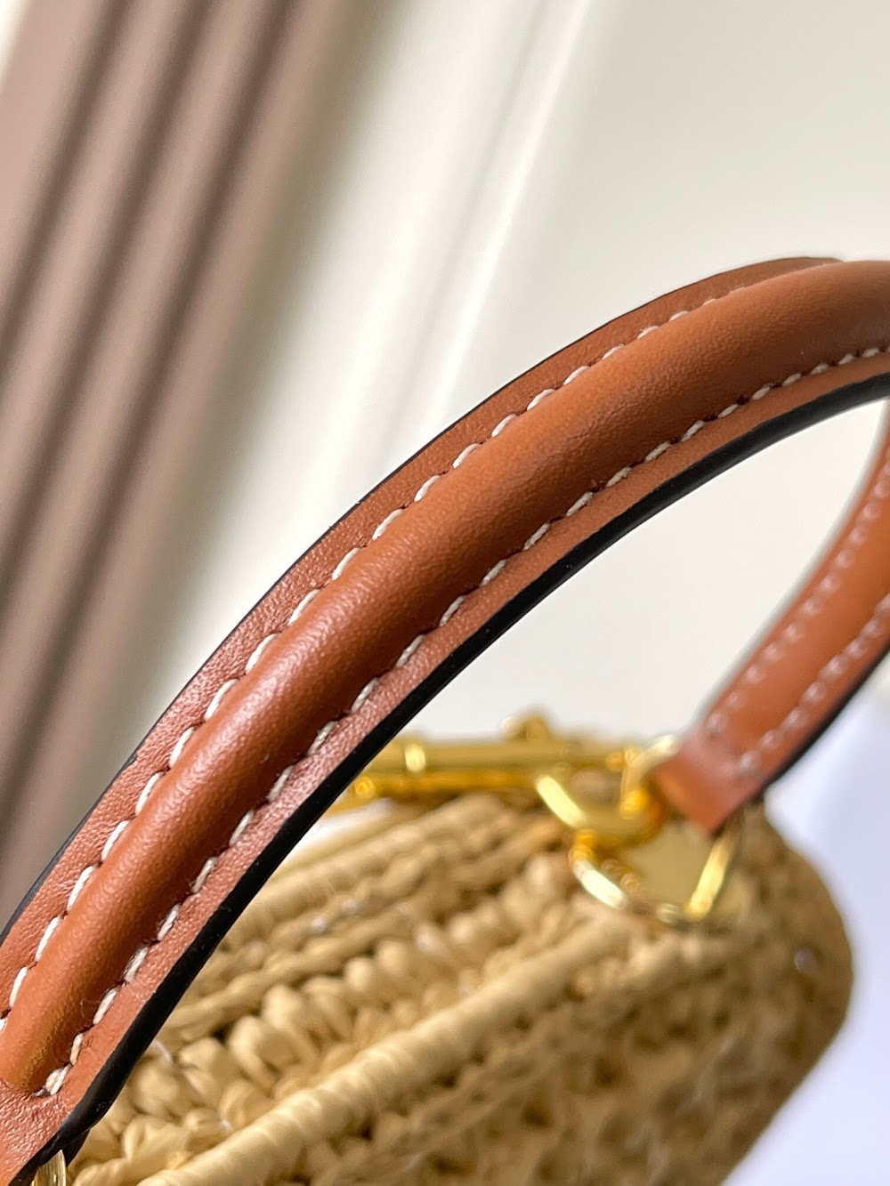 Dragons Bags Celine Luxury Bag --112313